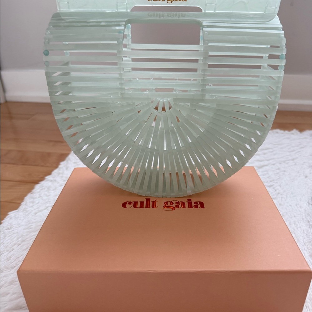 Cult Gaia Light Green Acrylic Ark Bag